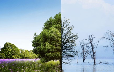 Environmental Impact Assessments